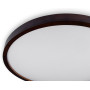 WOOD матовий 60W 375*60мм 3000К-6500К з ДК горіх