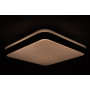 GLOW матовий 60W 391*391*65мм 3000К-6500К з ДК махагон