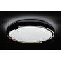 COLISEUM матовий 60W 395*60мм 3000К-6500К з ДК чорне золото