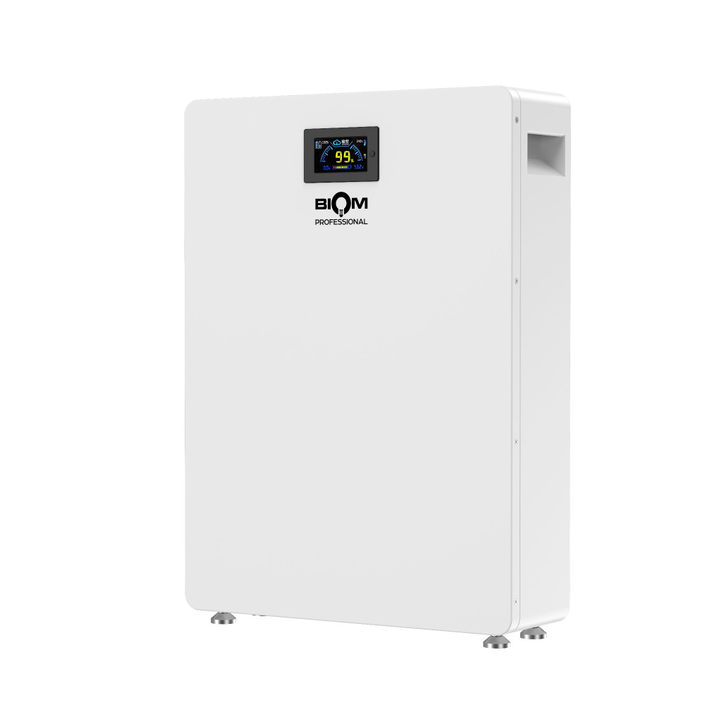Акумуляторна батарея Biom Professional 48В (51.2В) BALFP-512100-V1 5120Втч