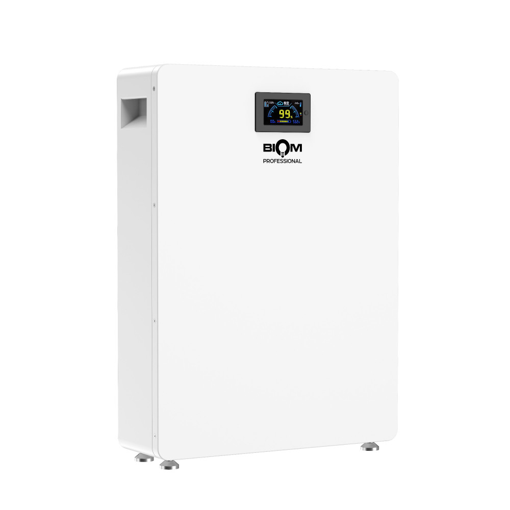 Акумуляторна батарея Biom Professional 48В (51.2В) BALFP-512100-V1 5120Втч