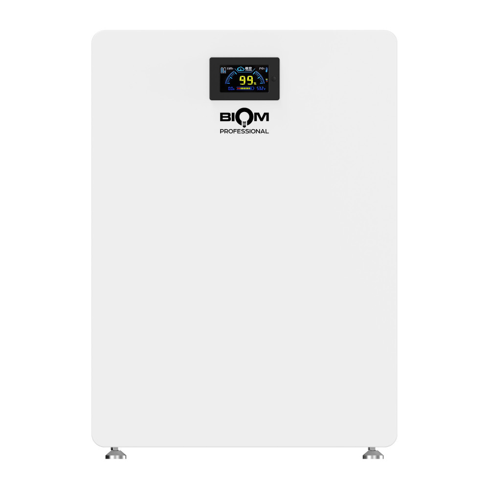 Акумуляторна батарея Biom Professional 48В (51.2В) BALFP-512100-V1 5120Втч