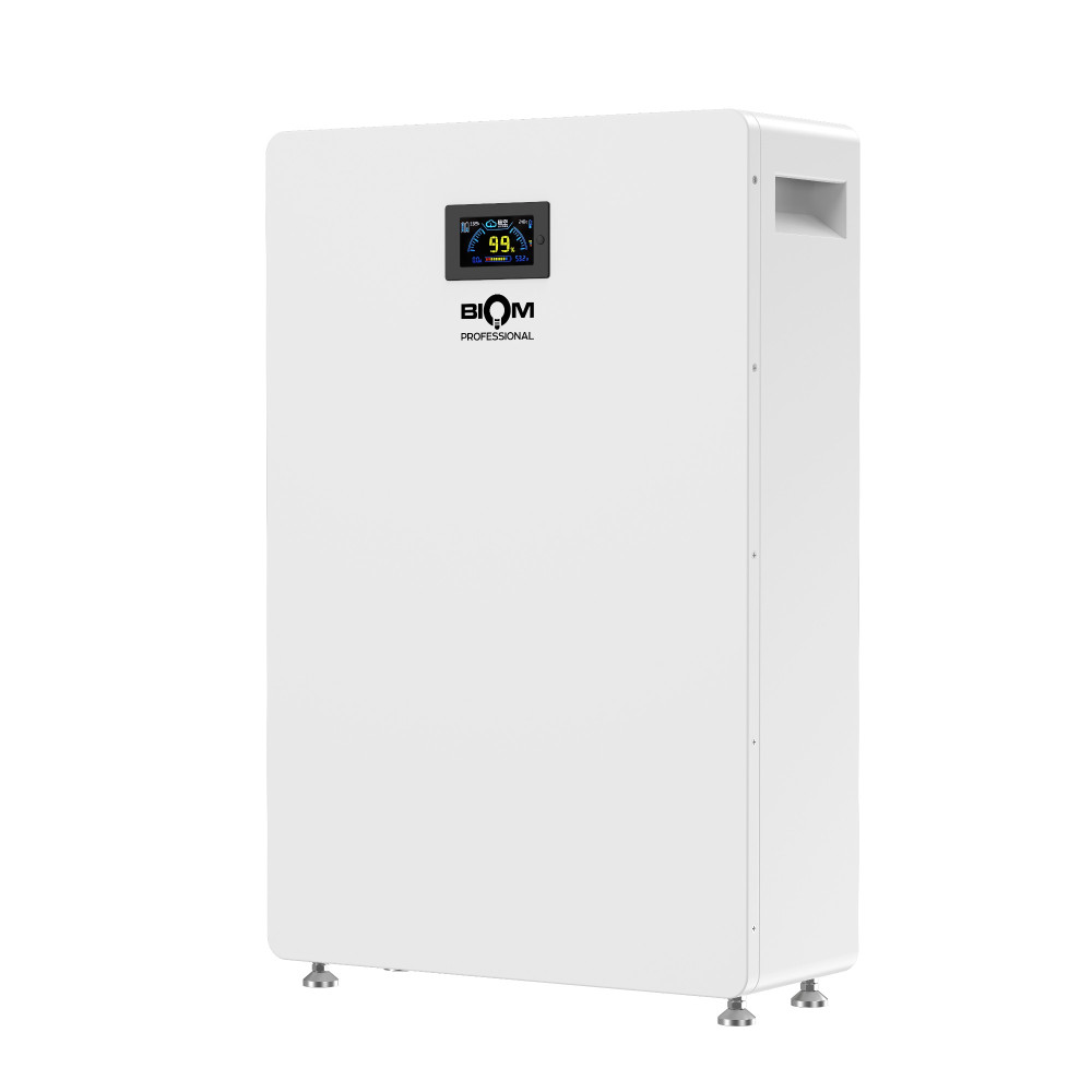 Акумуляторна батарея Biom Professional 48В (51.2В) BALFP-512200-V1 10кВтч