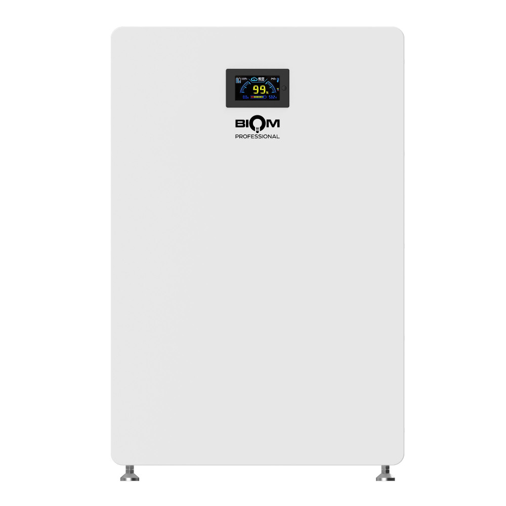 Акумуляторна батарея Biom Professional 48В (51.2В) BALFP-512200-V1 10кВтч