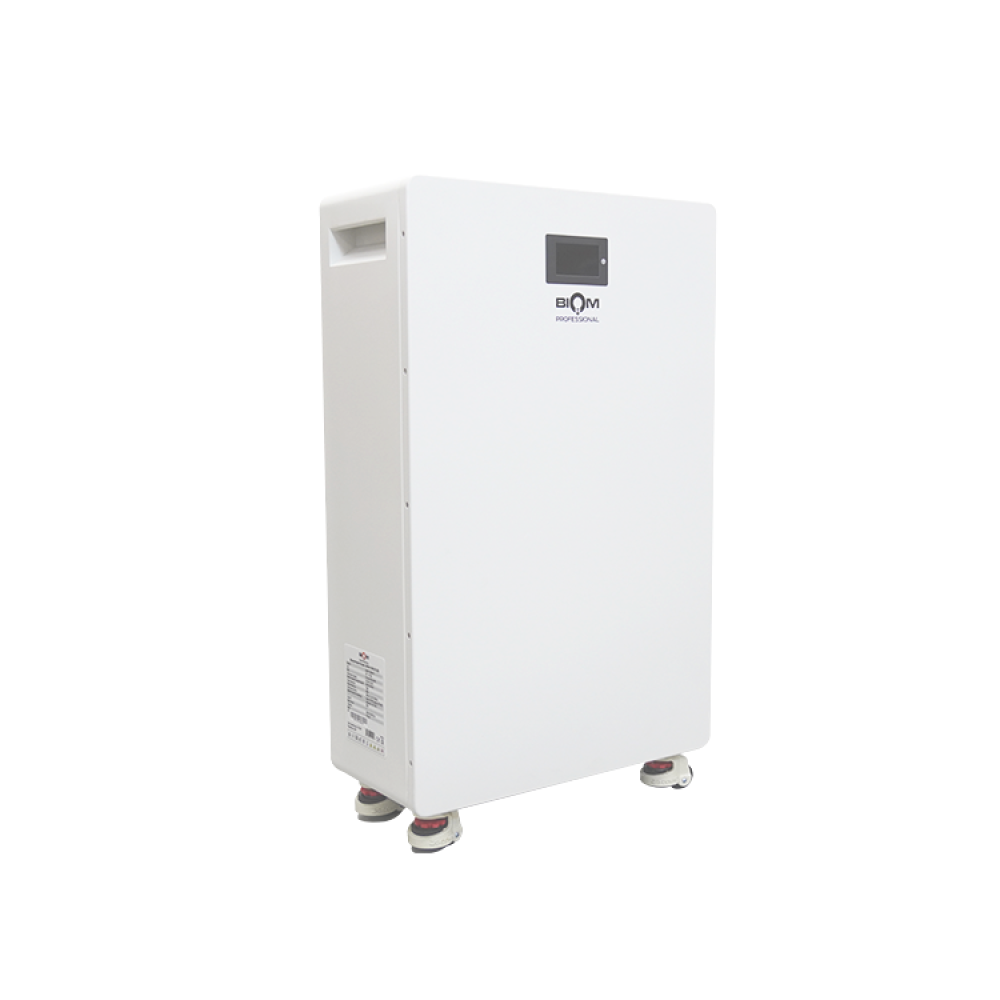 Акумуляторна батарея Biom Professional 48В (51.2В) BALFP-512300-V1 15кВтч