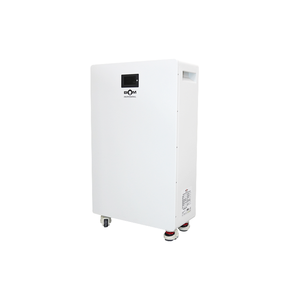 Акумуляторна батарея Biom Professional 48В (51.2В) BALFP-512300-V1 15кВтч