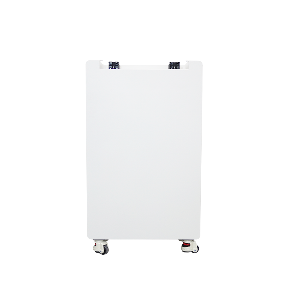 Акумуляторна батарея Biom Professional 48В (51.2В) BALFP-512300-V1 15кВтч