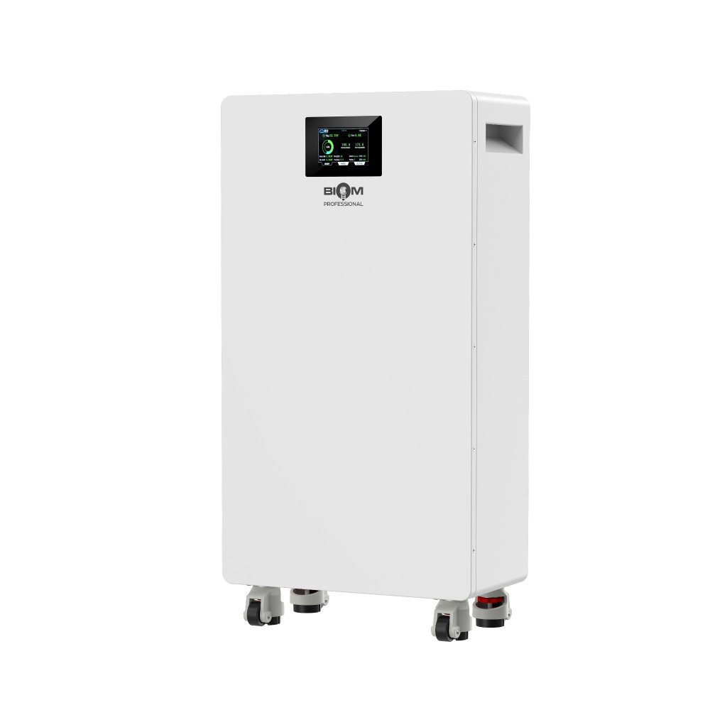Акумуляторна батарея Biom Professional 48В (51.2В) BALFP-512300-V2 15кВтч