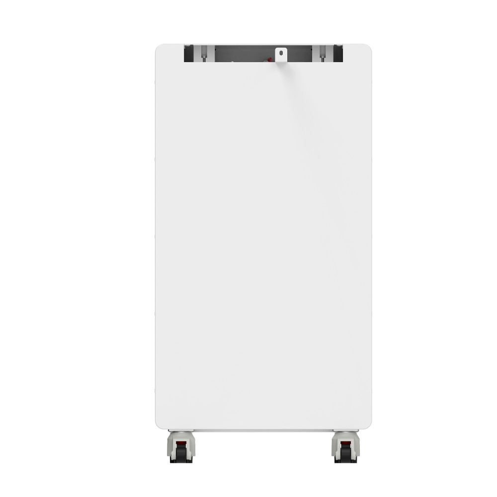 Акумуляторна батарея Biom Professional 48В (51.2В) BALFP-512300-V2 15кВтч