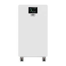 Акумуляторна батарея Biom Professional 48В (51.2В) BALFP-512314-V2 16кВтч