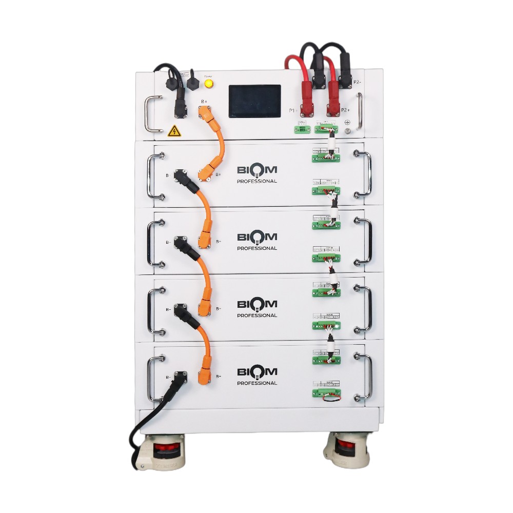 Акумуляторна батарея Biom Professional HV 48В (51.2В) BAHV-100512-LFP 5кВтч