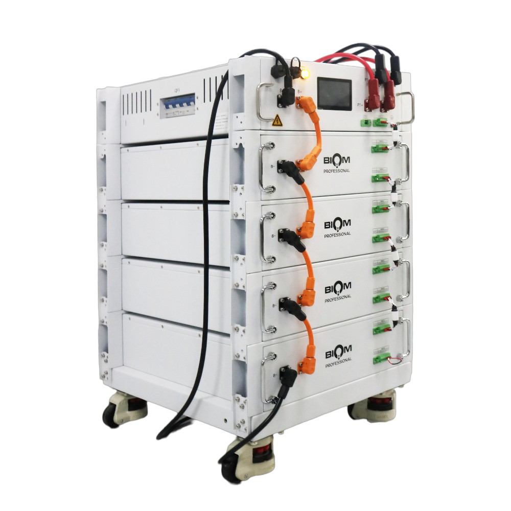 Акумуляторна батарея Biom Professional HV 48В (51.2В) BAHV-100512-LFP 5кВтч
