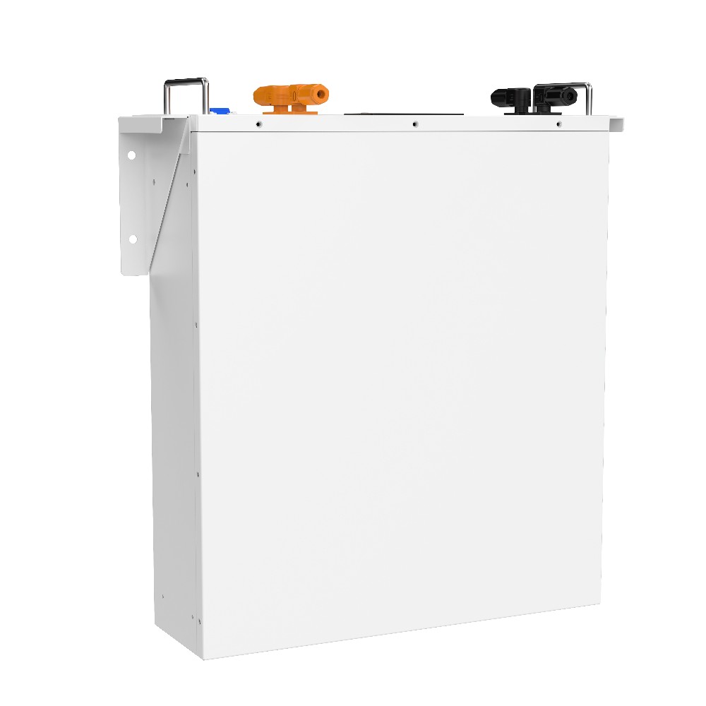 Акумуляторна батарея Biom Professional 48В (51.2В) BALFP-R512100-UNI 5кВтч