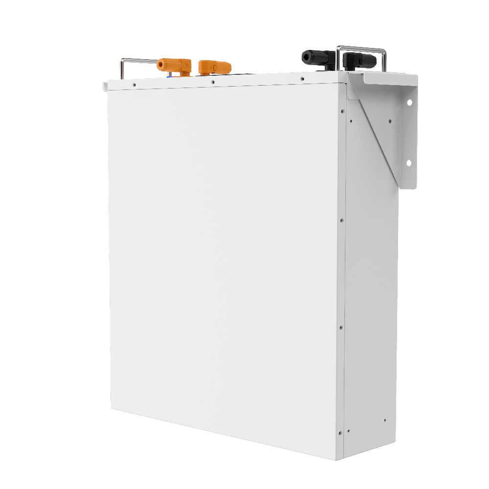 Акумуляторна батарея Biom Professional 48В (51.2В) BALFP-R512100-UNI 5кВтч