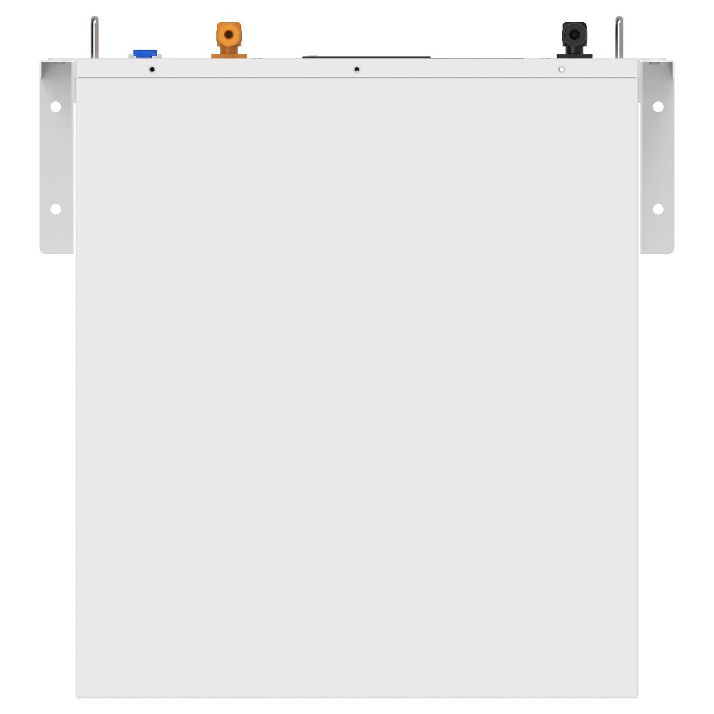 Акумуляторна батарея Biom Professional 48В (51.2В) BALFP-R512100-UNI 5кВтч
