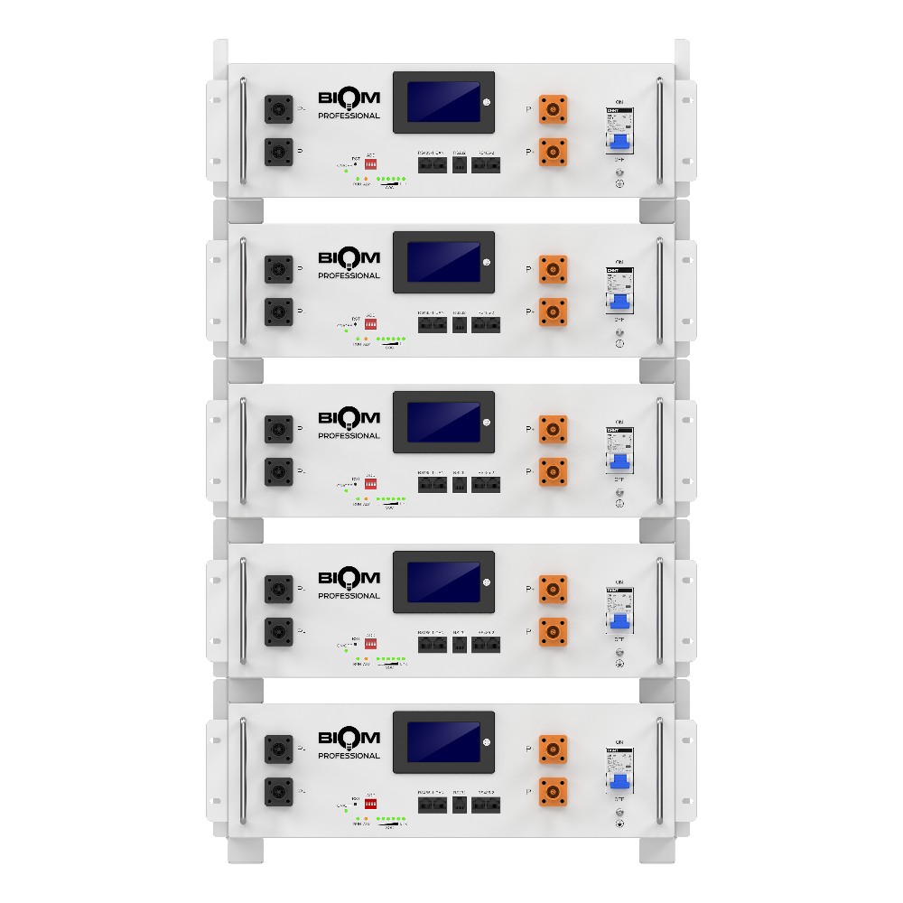 Акумуляторна батарея Biom Professional 48В (51.2В) BALFP-R512100-UNI 5кВтч