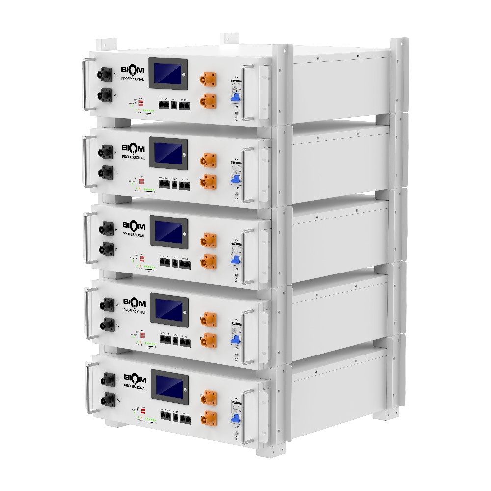Акумуляторна батарея Biom Professional 48В (51.2В) BALFP-R512100-UNI 5кВтч