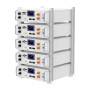 Акумуляторна батарея Biom Professional 48В (51.2В) BALFP-R512100-UNI 5кВтч