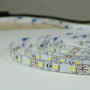 Светодиодная лента BIOM Professional BPS-G3-12-5050-60-CW-20 холодный белый, негерметичная, 1м