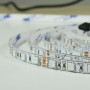 Світлодіодна стрічка BIOM Professional BPS-G3-12-5050-60-RGB-20, негерметична, 1м