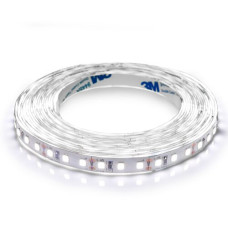 Світлодіодна стрічка BIOM Professional BPS-G3-12-2835-120-CW-20 холодний білий, негерметична, 1м