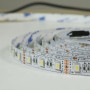 Світлодіодна стрічка BIOM Professional BPS-G3-12-5050-60-RGBW-20, 1м